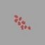 Pink Berries - Leczenie i medykamenty w Unturned - Unturned - poradnik do gry