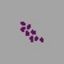 Purple Berries - Leczenie i medykamenty w Unturned - Unturned - poradnik do gry