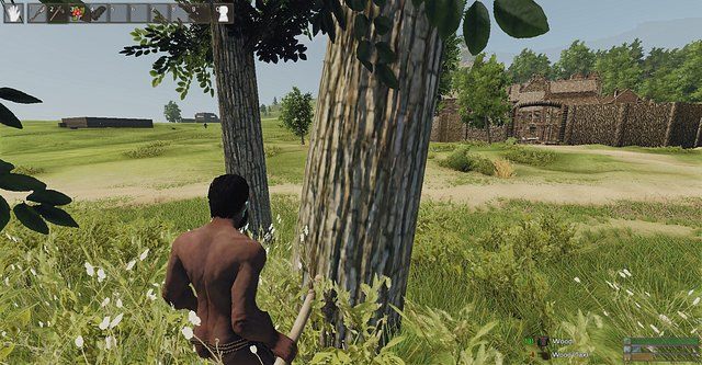 Rąbanie drewna zwykłym toporkiem jest dość problematyczne - Złoża naturalne | Podstawy rozgrywki Reign of Kings - Reign of Kings - poradnik do gry