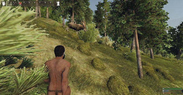 Takie krzaki mogą dać patyki po zerwaniu - Złoża naturalne | Podstawy rozgrywki Reign of Kings - Reign of Kings - poradnik do gry