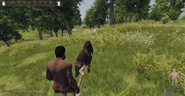 Wilk jest bardzo wymagającym przeciwnikiem jeśli się posiada tylko pałkę - Stwory agresywne | Przeciwnicy i Zwierzęta w Reign of Kings - Reign of Kings - poradnik do gry