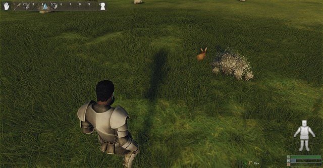 Króliki zazwyczaj kicają przy polach Flaxu. - Stwory neutralne | Przeciwnicy i Zwierzęta w Reign of Kings - Reign of Kings - poradnik do gry