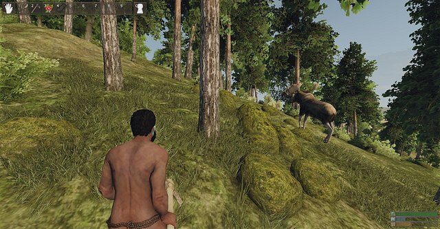 Łoś w trawie puszczy - Stwory neutralne | Przeciwnicy i Zwierzęta w Reign of Kings - Reign of Kings - poradnik do gry