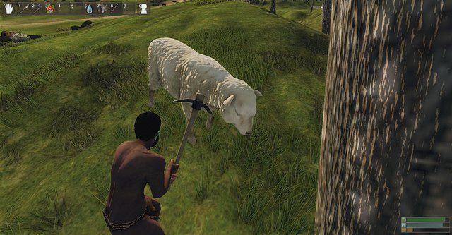 Owca nie jest zbyt agresywna więc można łatwo ją zabić - Stwory neutralne | Przeciwnicy i Zwierzęta w Reign of Kings - Reign of Kings - poradnik do gry