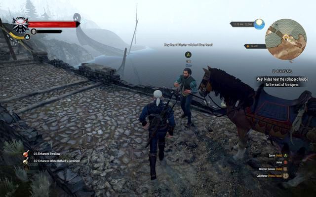 Nidas na Skellige - Wiedźmin 3 Dziki Gon: Wolne Miasto Novigrad, Poboczne zadania - lista, solucja - Wiedźmin 3 Dziki Gon - poradnik do gry