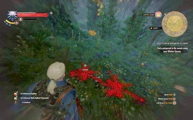 Resztki rośliny w lesie - Wiedźmin 3 Dziki Gon: Egzamin z alchemii (Practicum in Advanced Alchemy) - zadanie poboczne | Kaer Trolde - Wiedźmin 3 Dziki Gon - poradnik do gry