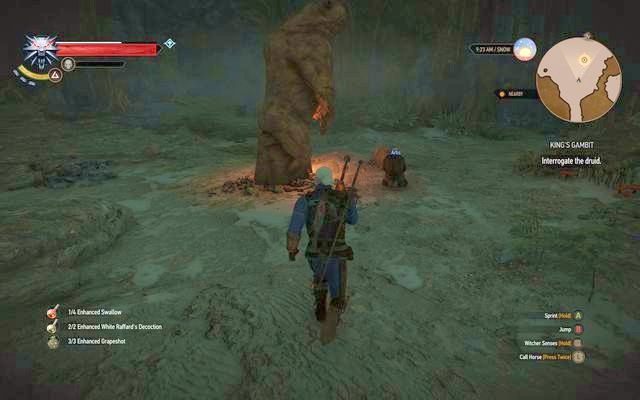 Pokonaj druida i niedźwiedzia w jaskiniach - Wiedźmin 3 Dziki Gon: Poboczne zadania Kaer Trolde - Wiedźmin 3 Dziki Gon - poradnik do gry