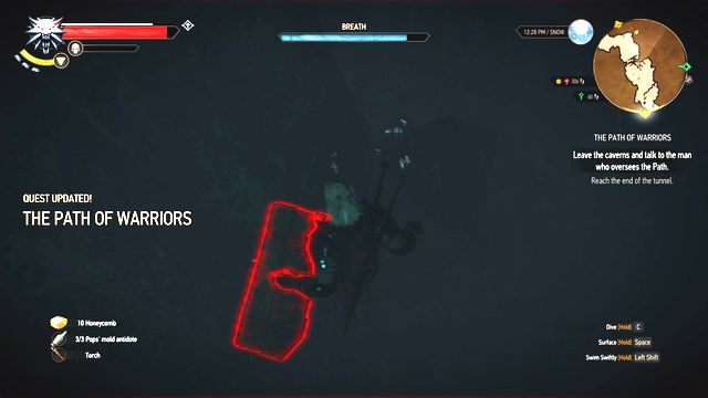 Gdy już przepłyniesz tunel, zanurkuj ponownie aby zlokalizować skrzynię. - Wiedźmin 3 Dziki Gon: Poboczne zadania | An Skellig | Wiedźmin 3 Dziki Gon - Wiedźmin 3 Dziki Gon - poradnik do gry