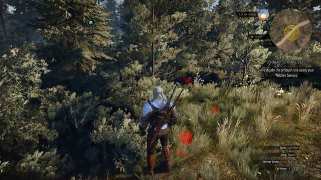 Podążaj za śladami do jaskini. - Wiedźmin 3 Dziki Gon: Zlecenia wiedźmińskie | Hindarsfjall | Wiedźmin 3 Dziki Gon - Wiedźmin 3 Dziki Gon - poradnik do gry