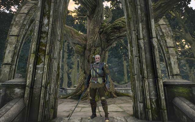 Mistrzowski rynsztunek szkoły gryfa - Wiedźmin 3 Dziki Gon: Rynsztunek szkoły gryfa - Mistrzowski - Wiedźmin 3 Dziki Gon - poradnik do gry