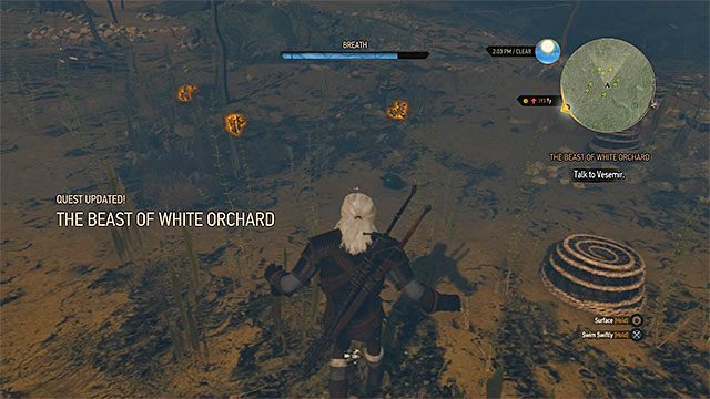 Szakłak odnajduje się podczas nurkowania, tak więc uważaj na utopców - Wiedźmin 3 Dziki Gon: Bestia z Białego Sadu - solucja (Biały Sad) - Wiedźmin 3 Dziki Gon - poradnik do gry