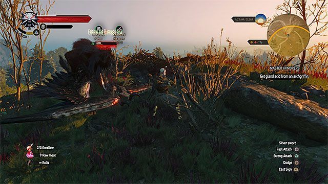 Atakuj archegryfa gdy ten wyląduje - Wiedźmin 3 Dziki Gon: Kasztel Wrońce, Zlecenia wiedźmińskie - lista, solucja - Wiedźmin 3 Dziki Gon - poradnik do gry