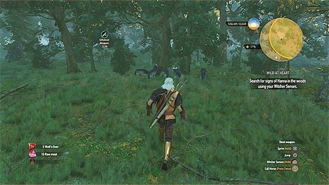 Musisz zlokalizować i zaatakować grupę wilków w lesie - Wiedźmin 3 Dziki Gon: Kasztel Wrońce, Poboczne zadania - lista, solucja - Wiedźmin 3 Dziki Gon - poradnik do gry