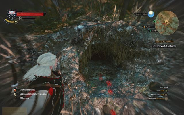 Jaskinia, w której mieszka Janek - Wiedźmin 3 Dziki Gon: Panie Lasu (Ladies of the Wood) - solucja - Wiedźmin 3 Dziki Gon - poradnik do gry