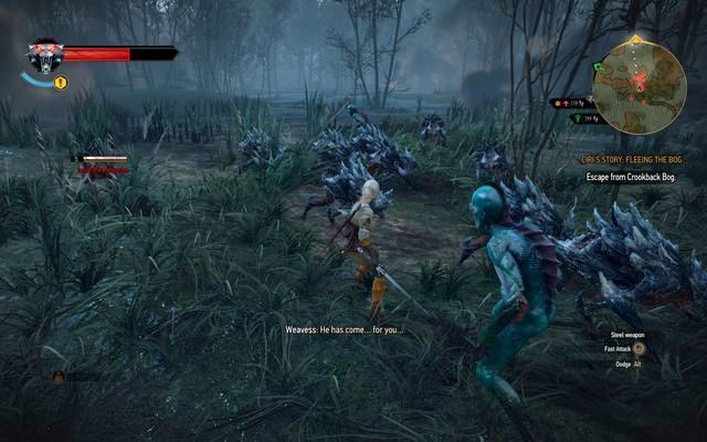 Gdy grasz Ciri - biegnij przed siebie, i tak nie zdobędziesz doświadczenia - Wiedźmin 3 Dziki Gon: Panie Lasu (Ladies of the Wood) - solucja - Wiedźmin 3 Dziki Gon - poradnik do gry