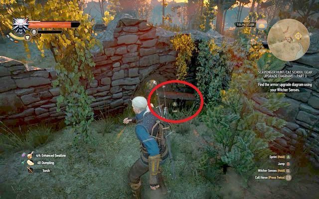 Po pokonaniu żywiołaka udaj się do południowej części ruin - Wiedźmin 3 Dziki Gon: Rynsztunek szkoły kota - Wyśmienity - Wiedźmin 3 Dziki Gon - poradnik do gry