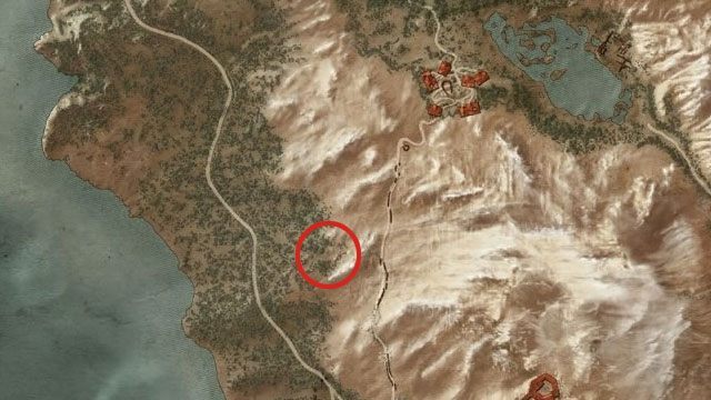 Przy głównej drodze prowadzącej od Kaer Muire na północ znajdziesz w zboczu góry po wschodniej stronie jaskinię - Wiedźmin 3 Dziki Gon: Rynsztunek szkoły niedźwiedzia - Ulepszony - Wiedźmin 3 Dziki Gon - poradnik do gry