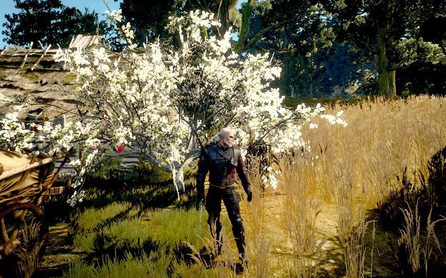 Wyśmienity rynsztunek Szkoły Wilka - Wiedźmin 3 Dziki Gon: Rynsztunek Szkoły Wilka - Wyśmienity (DLC) - Wiedźmin 3 Dziki Gon - poradnik do gry