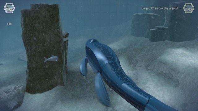 Kolejny złoty klocek otrzymasz po zabiciu sześciu rekinów - Arena Mozozaura | Jurassic World - sekrety - LEGO Jurassic World - poradnik gry