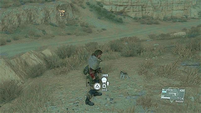 Rozglądaj się za szczeniakiem w świecie gry - Pies (D-Dog) | Pomocnicy (Buddies) w Metal Gear Solid V The Phantom Pain - Metal Gear Solid V: The Phantom Pain - poradnik do gry