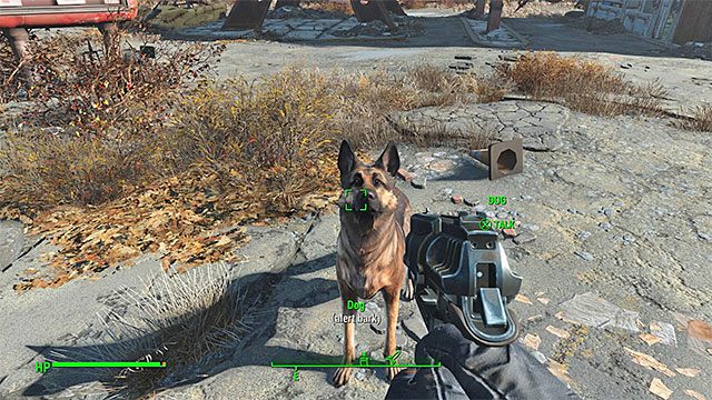 Odszukaj psa i porozmawiaj ze zwierzakiem - Fallout 4: Jak odblokować Dogmeata (Ochłapa) jako towarzysza? - Fallout 4 - poradnik do gry