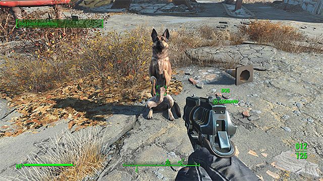 Dogmeat (Ochłap) to pies rasy owczarek niemiecki i możesz go przyłączyć do drużyny jako jednego z pierwszych towarzyszy - Fallout 4: Lista wszystkich towarzyszy - Fallout 4 - poradnik do gry