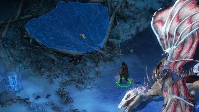 Decydując się na zabicie smoka nie zapomnij przeszukać potem jego leża. - Jego lepsza połowa (His better half) - zadanie poboczne | Długie Wodospady M3 - Pillars of Eternity: The White March Part I - poradnik do gry