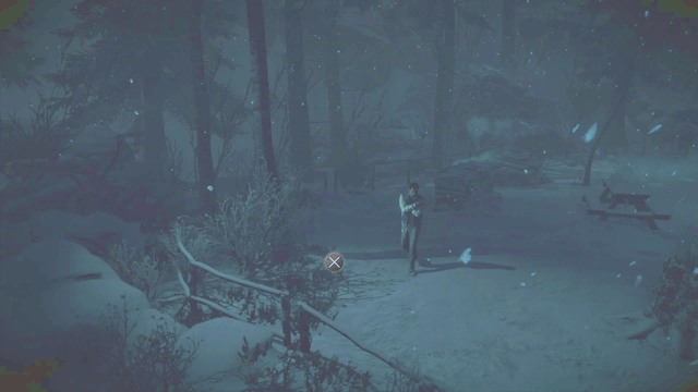 Totem śmierci #2 schowany przy krzakach - Until Dawn: Rozdział 5 - solucja, opis przejścia - Until Dawn - poradnik do gry