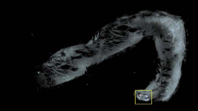 Na samym dole tego tunelu znajduje się czerwony przycisk, który każ Dziubkowi wcisnąć - Grota | Druga wieża w Armikrog - Armikrog - poradnik do gry