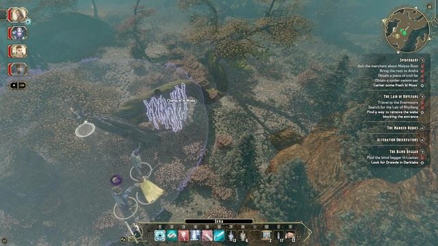 Musisz zebrać trzy składniki: Venom sack, który znajdziesz przy ciele pająków (M8,Pająki) - The Lair of Rhylfang - Zadanie główne | Neverwinter Wood / Evermoors M8 - Sword Coast Legends - poradnik do gry