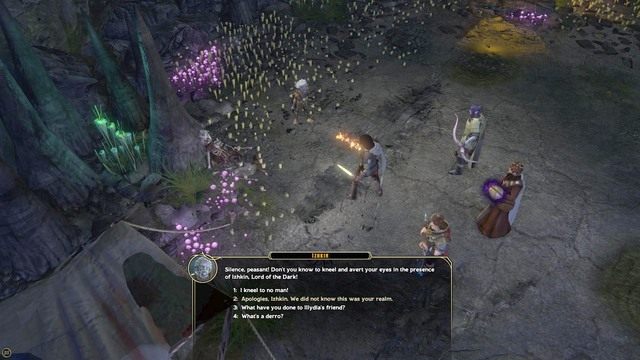 Po dotarciu na miejsce, przeszukaj obozowisko - Into Eternal Night - Zadanie główne | Forlorn Cliffs / Darklake District M11 - Sword Coast Legends - poradnik do gry