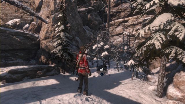 Pod zwalonym drzewem, w gąszczu małych drzewek - Wyzwania i skrzynie | Syberyjska dzicz | Sekrety w Rise of the Tomb Raider - Rise of the Tomb Raider - poradnik do gry