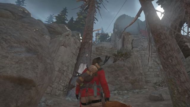 Zdobycie osiągnięcia możesz ułatwić sobie, gdy weźmiesz ze sobą kurę i rzucisz ją o mur, znajdujący się nieco nad obozem (pomiędzy drzewami, na mapie wokół półkolistej ściany) - Rożen | Osiągnięcia w Rise of the Tomb Raider - Rise of the Tomb Raider - poradnik do gry