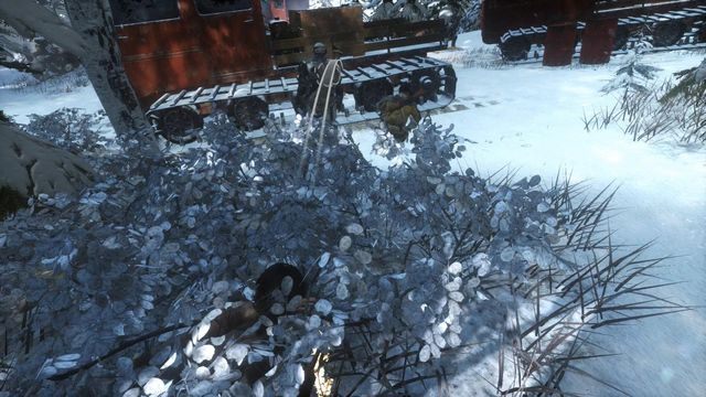 Pozostaje pokonać kilku ostatnich wrogów - Rise of the Tomb Raider: Znajdź drogę przez las | Śladami Trójcy - Rise of the Tomb Raider - poradnik do gry
