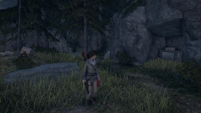 W grocie, za deskami, obóz Grzbiet Górski - Artefakty | Geotermiczna dolina | Skarby i sekrety w Rise of the Tomb Raider - Rise of the Tomb Raider - poradnik do gry