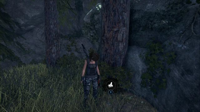 Zbocz lekko ze ścieżki, zestaw znajduje się pod drzewem - Zestawy surwiwalowe | Geotermiczna dolina | Skarby w Rise of the Tomb Raider - Rise of the Tomb Raider - poradnik do gry