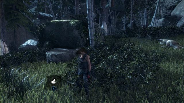 W krzakach, przed skałą - Zestawy surwiwalowe | Geotermiczna dolina | Skarby w Rise of the Tomb Raider - Rise of the Tomb Raider - poradnik do gry