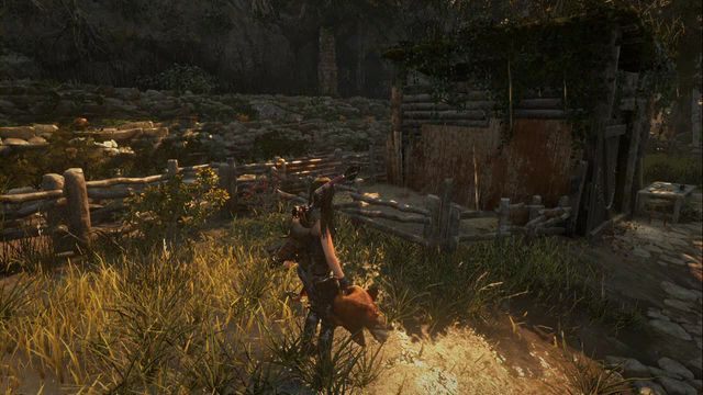 W dolinie, w pobliżu obozu Gospodarstwo w Dolinie biega sporo kurczaków - Wyzwania 1 - kurczaki, skocznie i tarcze | Geotermiczna dolina - Rise of the Tomb Raider - poradnik do gry