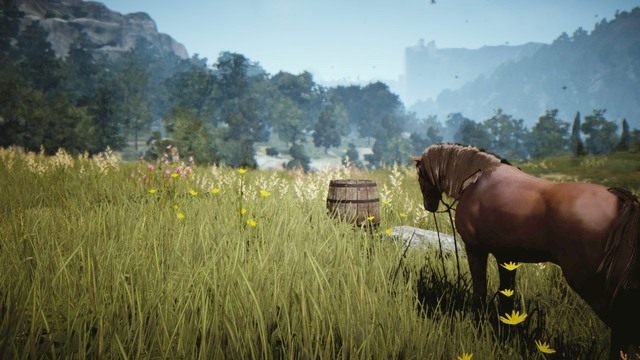 Płotka w Black Desert - Black Desert Online: Informacje ogólne - Black Desert Online - poradnik do gry