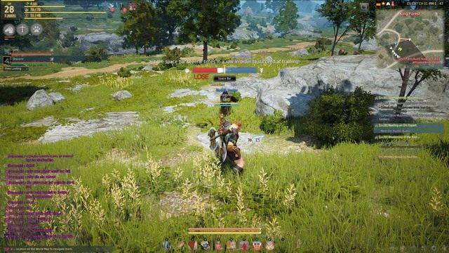 Minigra podczas łapania konia - Black Desert Online: Łapanie dzikiego konia (Taming) - Black Desert Online - poradnik do gry