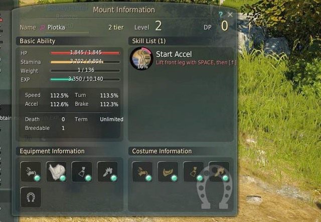 Okno statystyk Płotki - Black Desert Online: Poziomy i ekwipunek - Black Desert Online - poradnik do gry