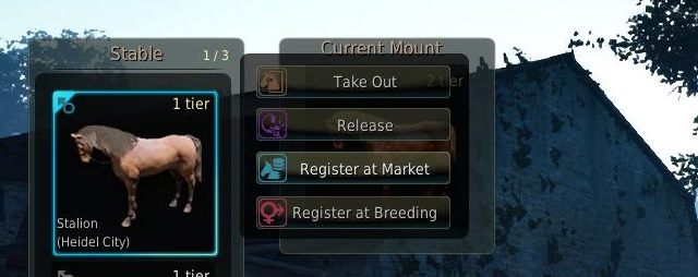 Okno opcji dotyczące wierzchowców - Black Desert Online: Reprodukcja (Breeding) - Black Desert Online - poradnik do gry