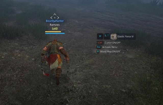 Status walki - Black Desert Online: Walka - podstawy, przeciwnicy - Black Desert Online - poradnik do gry