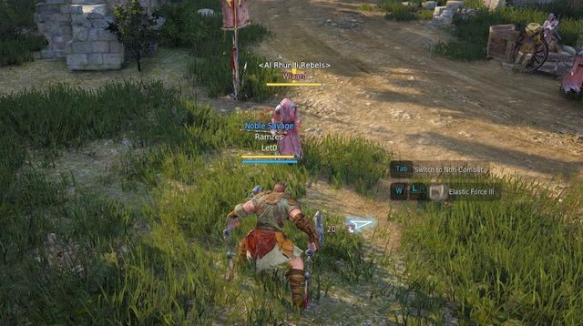 Kolor przeciwnika decyduje o jego poziomie - Black Desert Online: Walka - podstawy, przeciwnicy - Black Desert Online - poradnik do gry