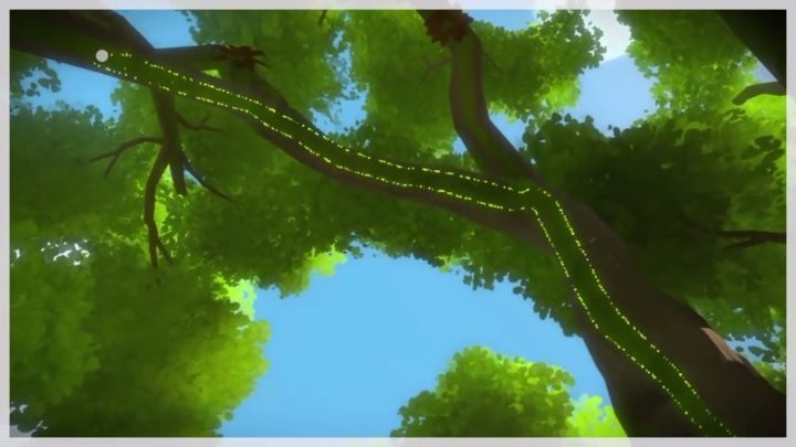 3 - Dżungla - Sekrety i znajdźki The Witness - The Witness - poradnik do gry