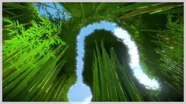 Miejscem charakterystycznym jest drzewo - Dżungla - Sekrety i znajdźki The Witness - The Witness - poradnik do gry