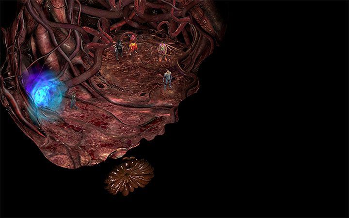 Przejdź przez portal żeby opuścić Serce Wykwitu - W głębiny (Into the Depths) - Torment: Tides of Numenera - poradnik do gry