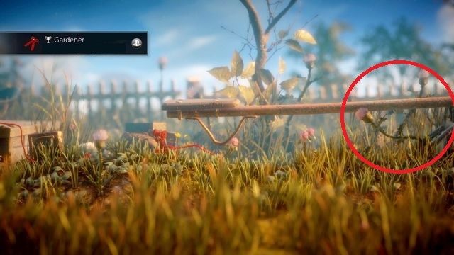 Za zniszczenie wszystkich chwastów otrzymasz osiągnięcie Gardener - Osiągnięcia / Trofea w Unravel - Unravel - poradnik do gry