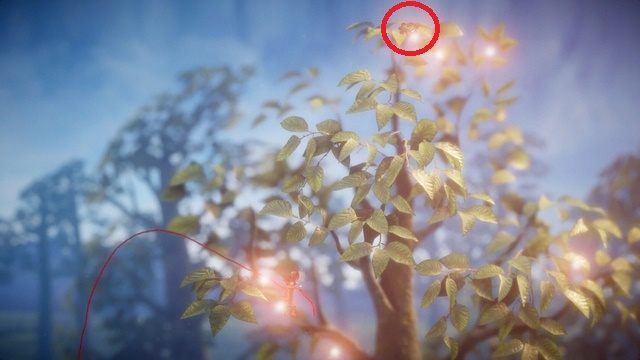 Pierwszy guzik na czubku drzewa - Poziom 12 - Renewed | Sekrety w Unravel - guziki - Unravel - poradnik do gry