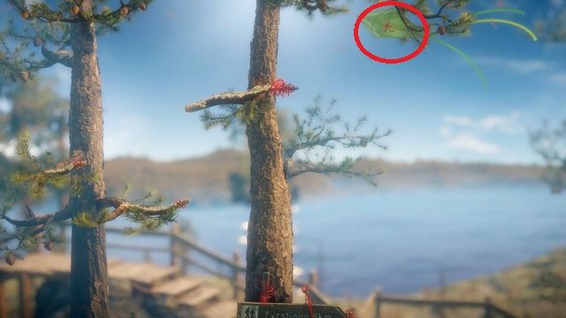 Dotrzyj do latawca uwięzionego na gałęzi - Poziom 2 - The Sea | Opis przejścia Unravel - Unravel - poradnik do gry